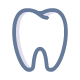 tooth on white background