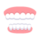 teeth and gums on white background