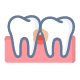 teeth in gums on white background
